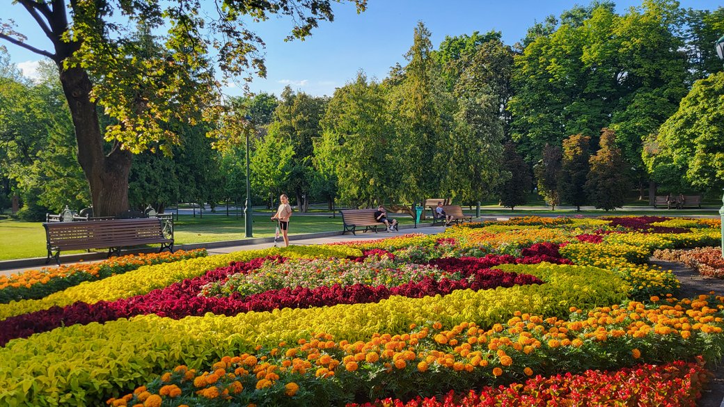 Сад Шевченка у Харкові / Фото: Суспільне