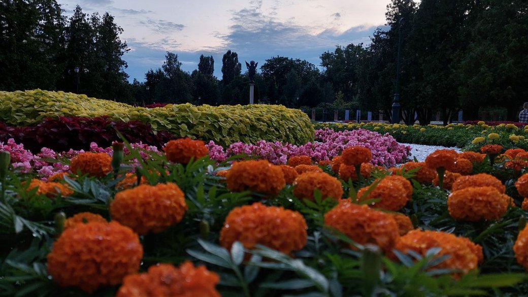 Сад Шевченко в Харькове / Фото: Суспільне