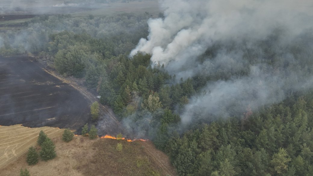 Лісова пожежа в Ізюмському районі / Фото: ДСНС