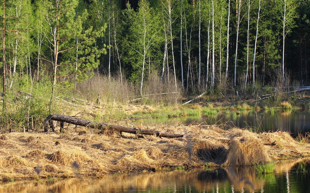 Національний природний парк "Слобожанський"