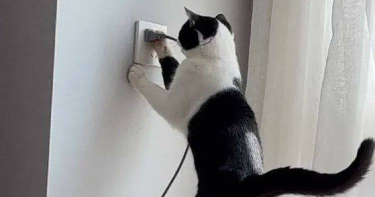 Иллюстративное фото / Фото из соцсетей