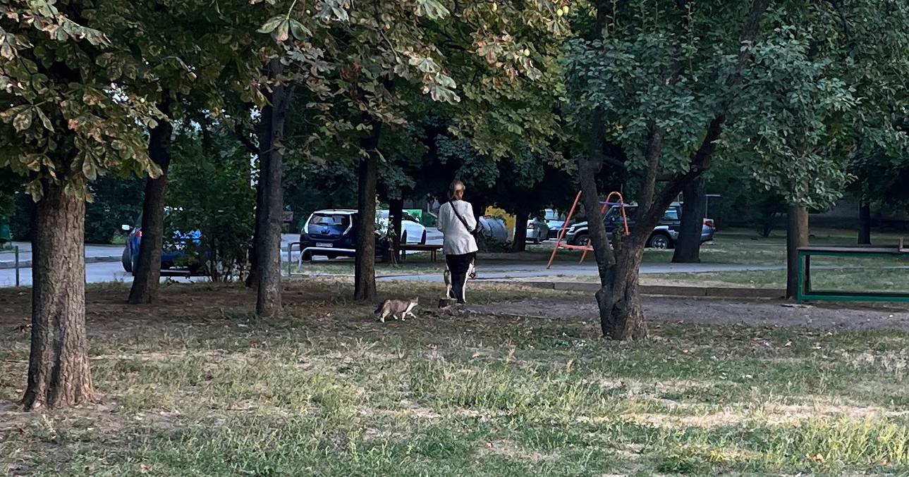 Иллюстративное фото / Фото Glavnoe.in.ua