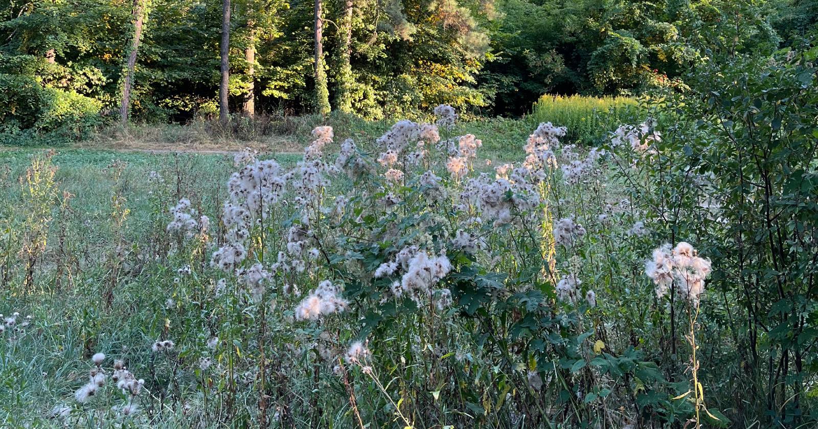 Иллюстративное фото / Фото Glavnoe.in.ua