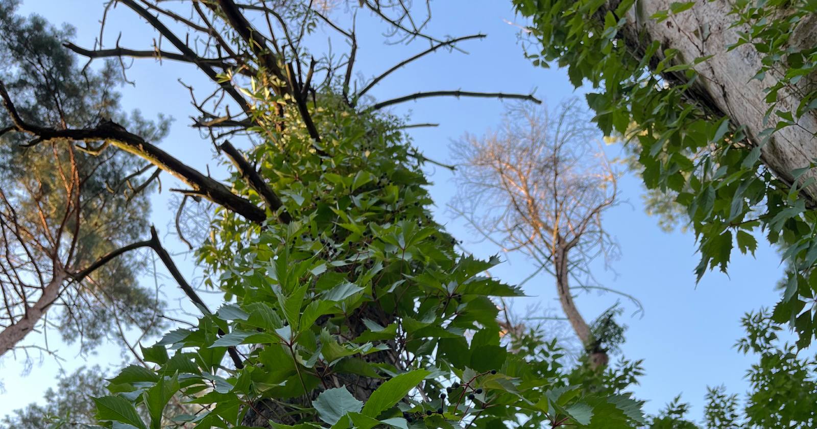 Иллюстративное фото / Фото Glavnoe.in.ua