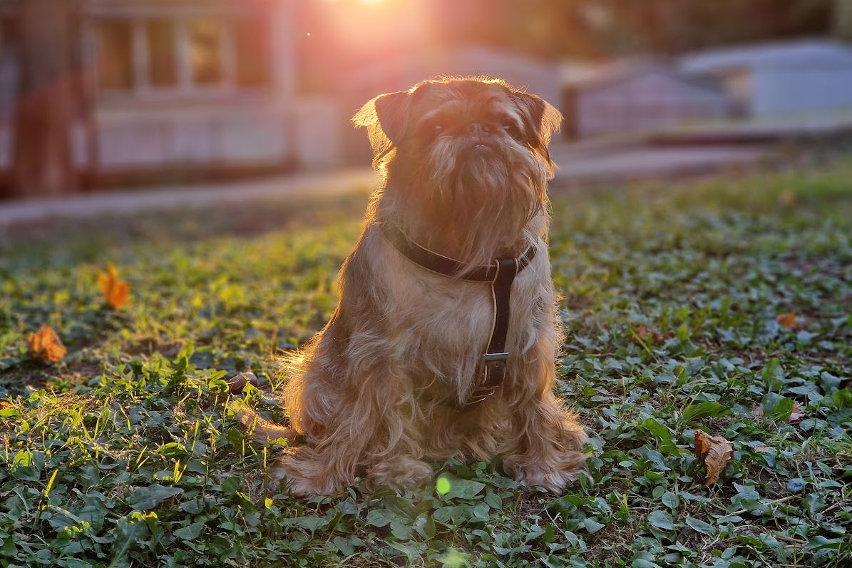 Иллюстративное фото / glavnoe.in.ua