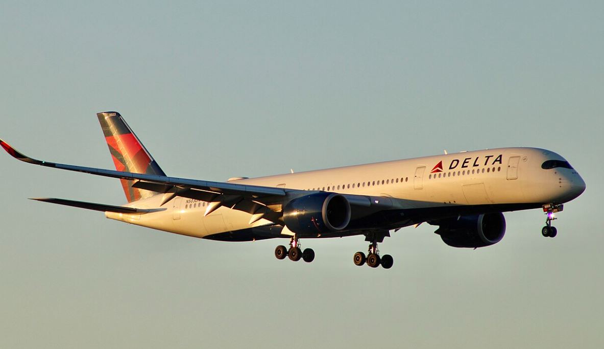 Літак авіакомпанії Delta Air Lines / Фото: Wikimedia