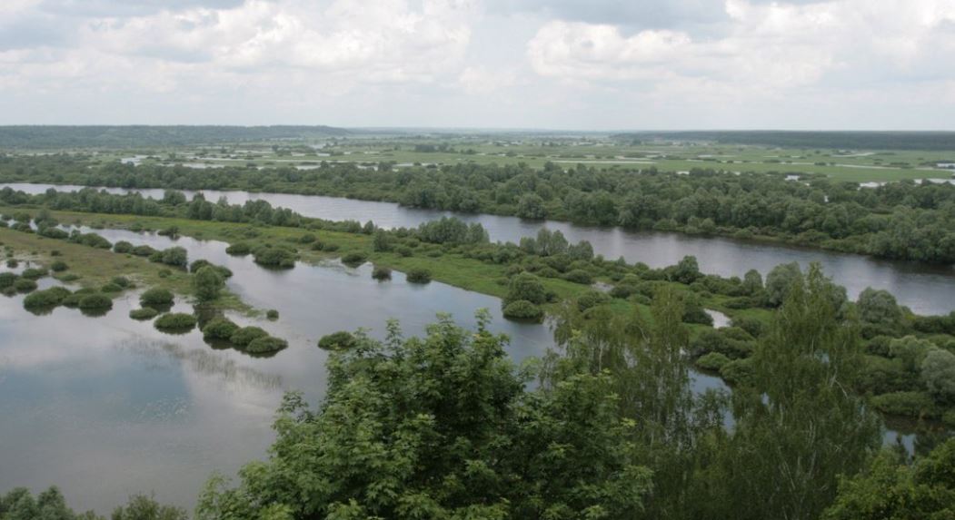 Река Десна / Фото из открытых источников
