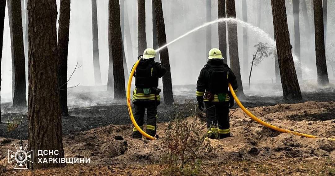 Ліквідація лісової пожежі у Харківській області / Фото ДСНС