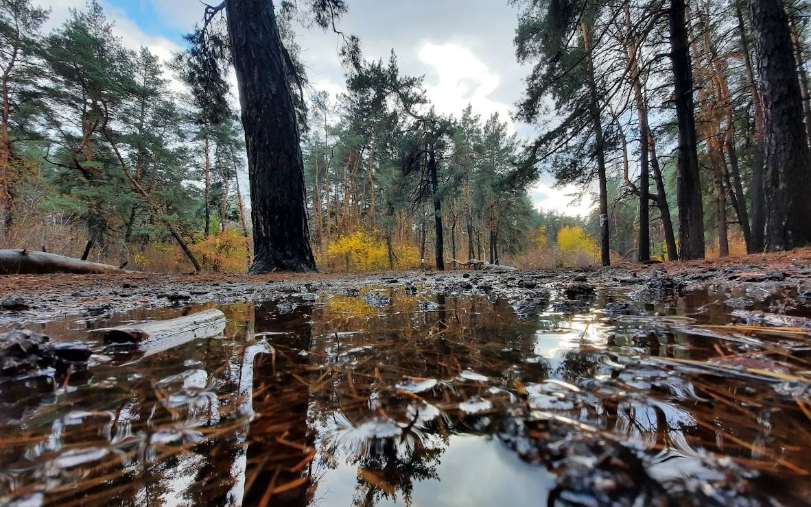 Ілюстративне фото / glavnoe.in.ua