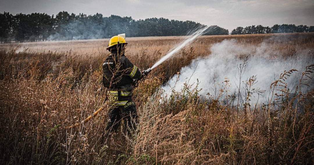 Харківщина: триває ліквідація понад 70 пожеж в природних екосистемах / Фото ДСНС