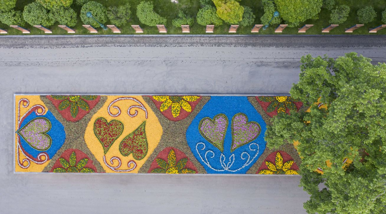 Мальовничі клумби у Харківському саду Шевченка / Фото: Харківзеленбуд