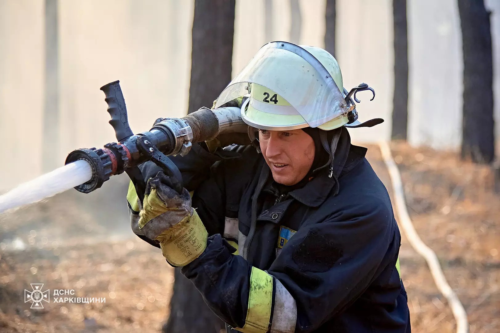 На Харківщині триває ліквідація масштабних лісових пожеж / Фото: ДСНС