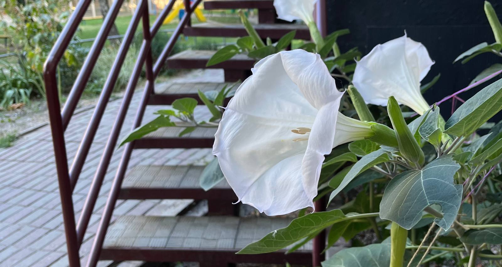 Иллюстративное фото / Фото Glavnoe.in.ua