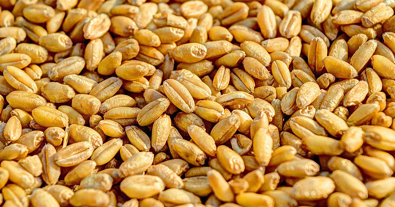 Ілюстративне фото з відкритих джерел