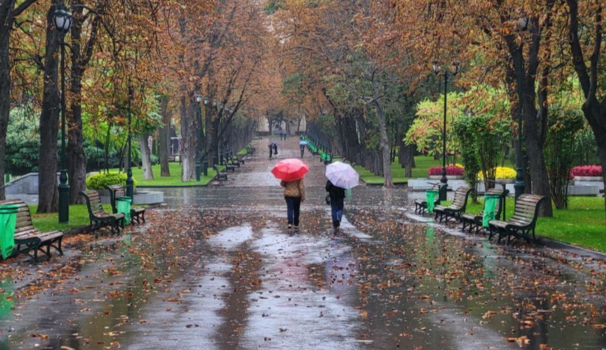 Харківський сад ім. Т.Г. Шевченко / Фото: Суспільне