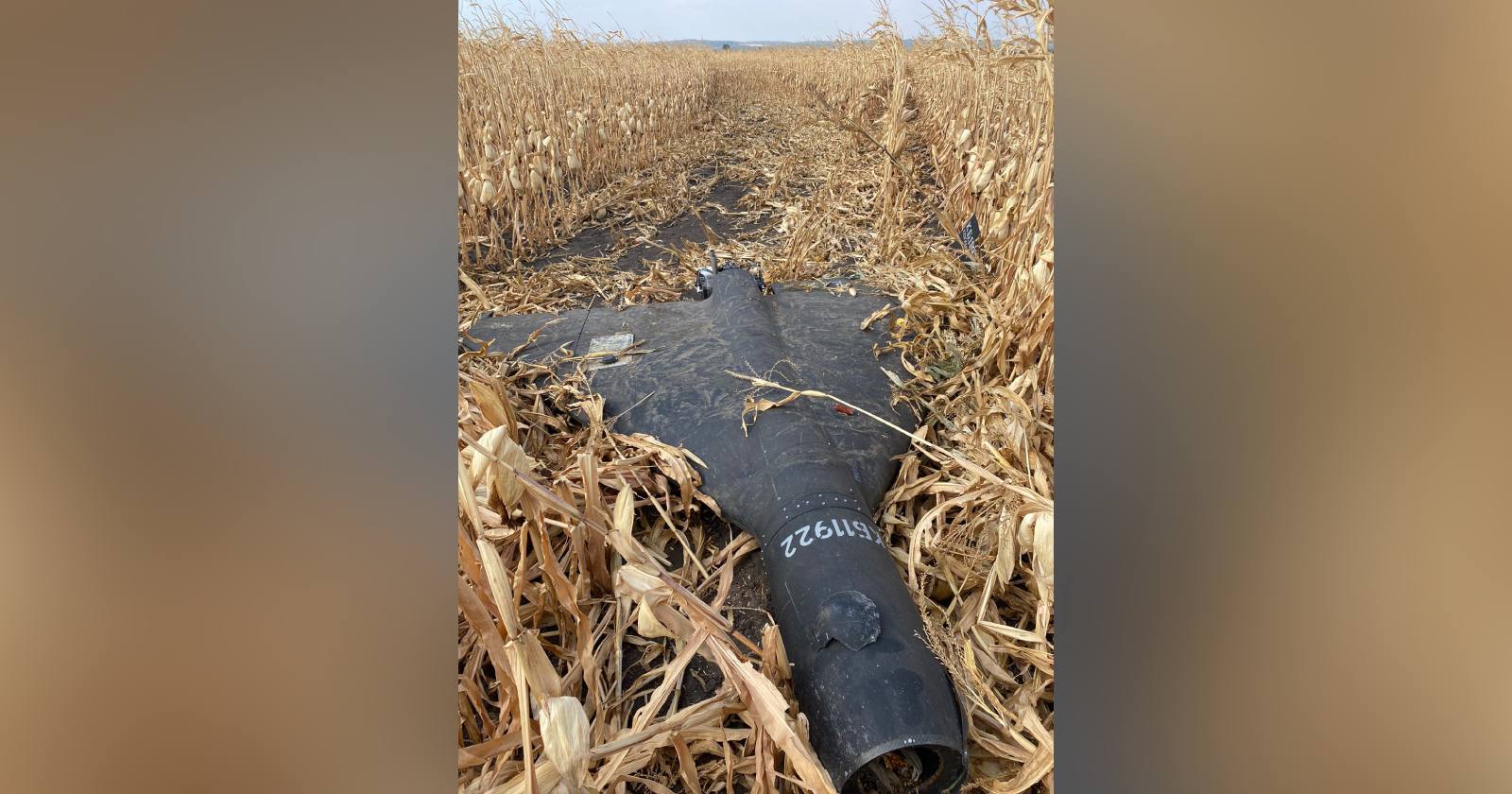 «Шахед» упал на кукурузное поле. Архивное фото / Фото из соцсетей