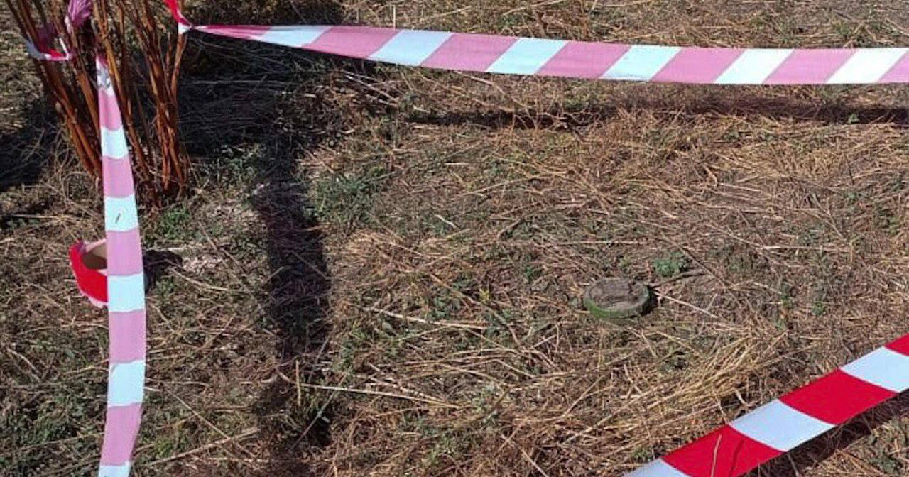 Ілюстративне фото / Фото ДСНС