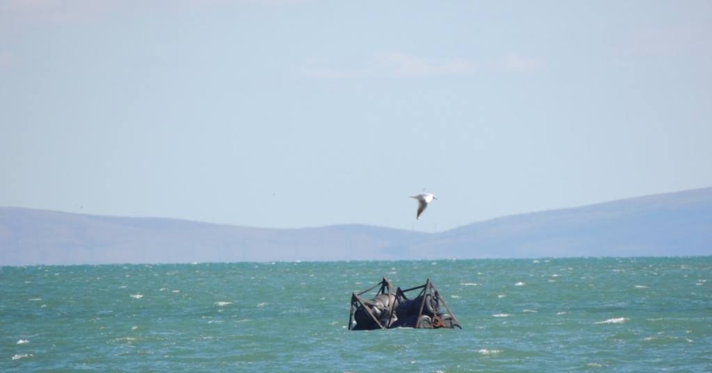 Бонові загородження поблизу Керчі. Крим, Україна, жовтень 2024 року / Фото RFE/RL