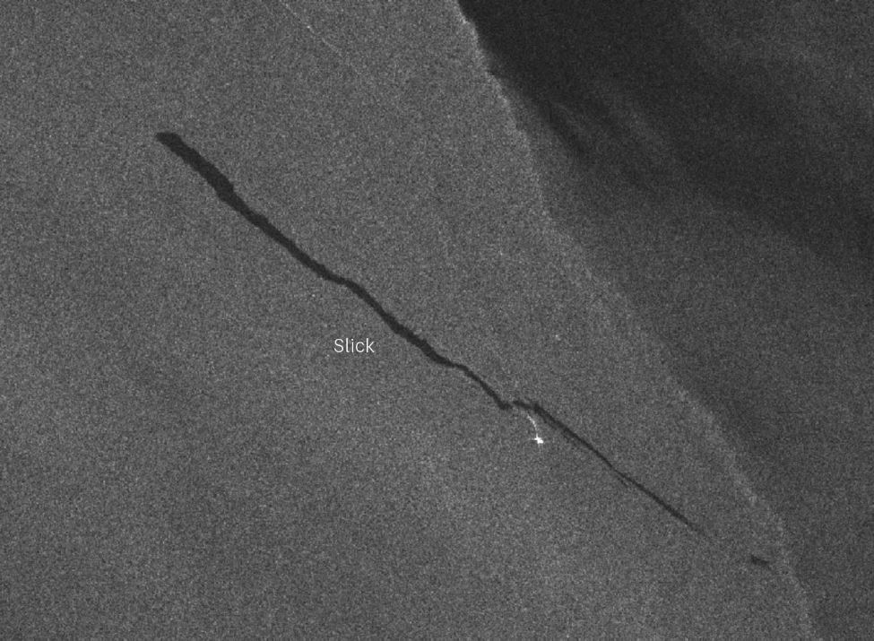 Нефтяное пятно оставленное российским танкером / SkyTruth Cerulean