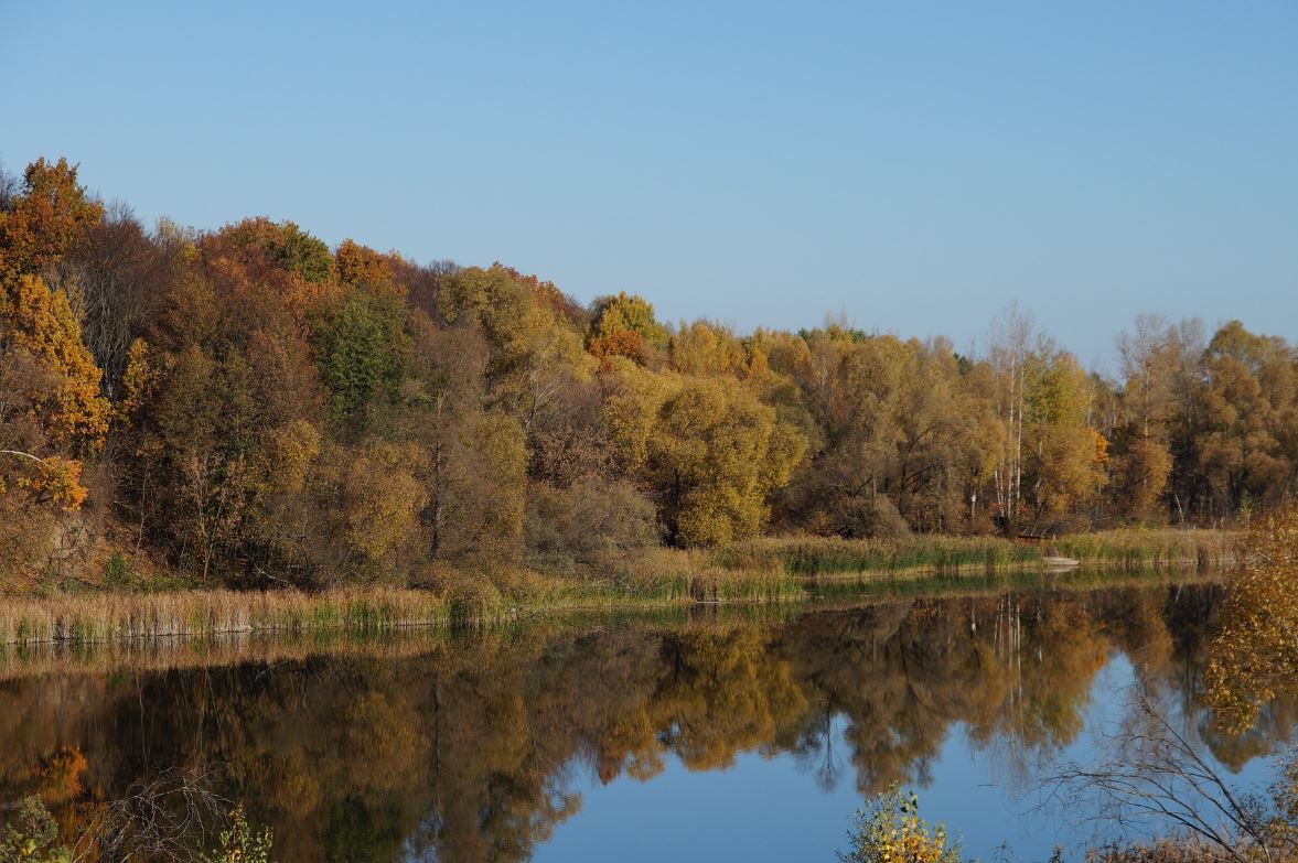 Осень в Чернобыльском заповеднике / Министерство защиты окружающей среды и природных ресурсов Украины