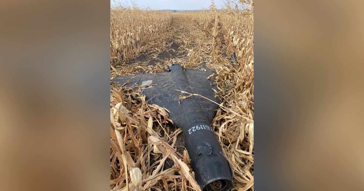 «Шахед» в кукурузном поле. Иллюстративное фото / Фото из соцсетей