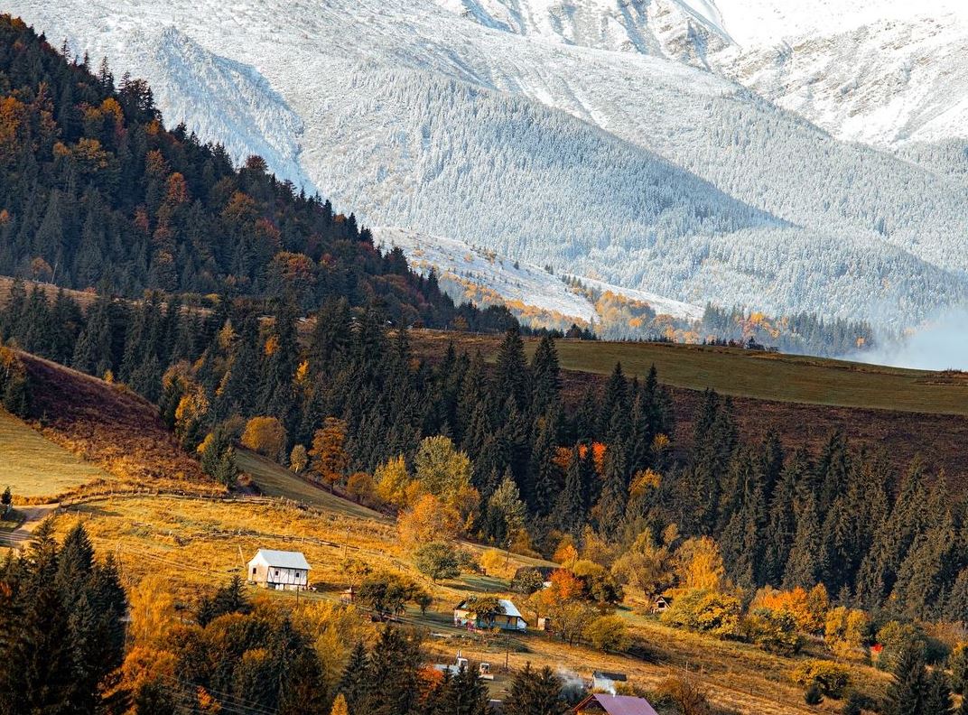 Карпати восени / Фото: utah_names/Instagram