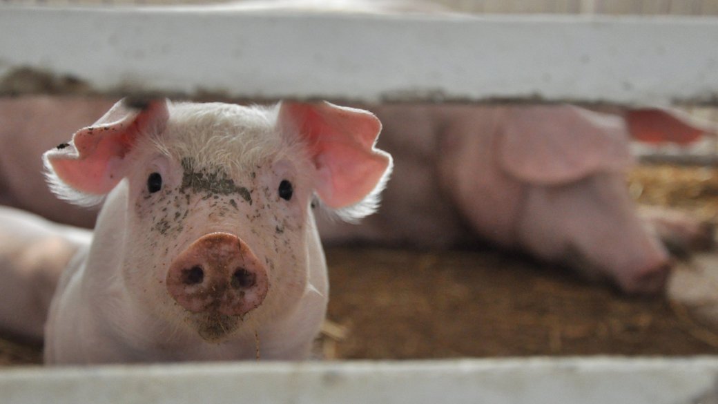 Иллюстративное фото / УНИАН