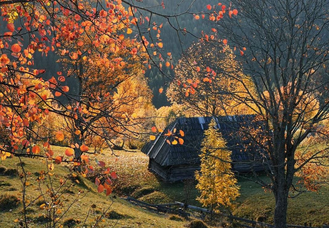 Домик в Карпатских горах / Фото:instagram/maryana_wildflower