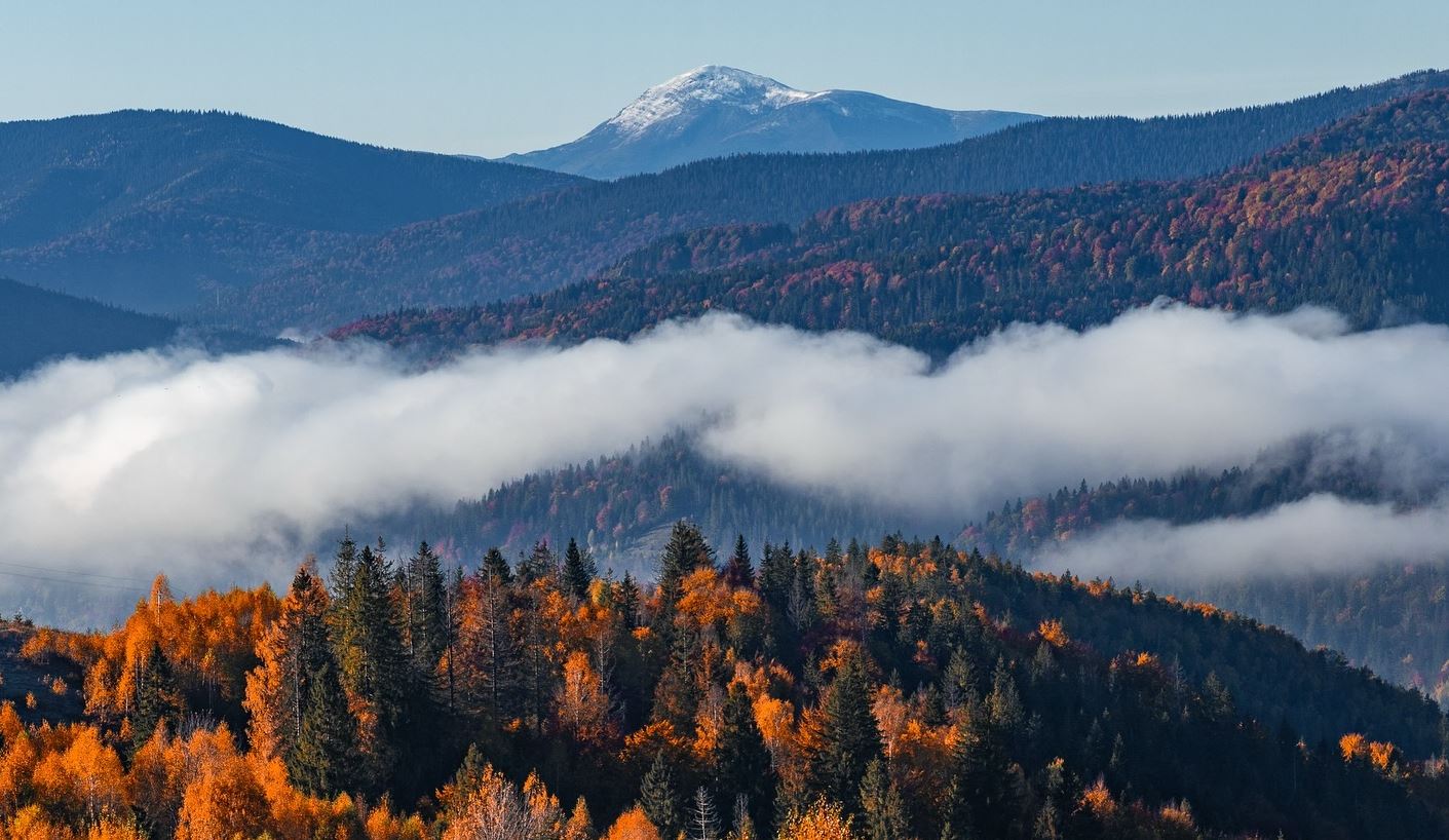 Осень на склонах Карпат / Фото: instagram/utah_names