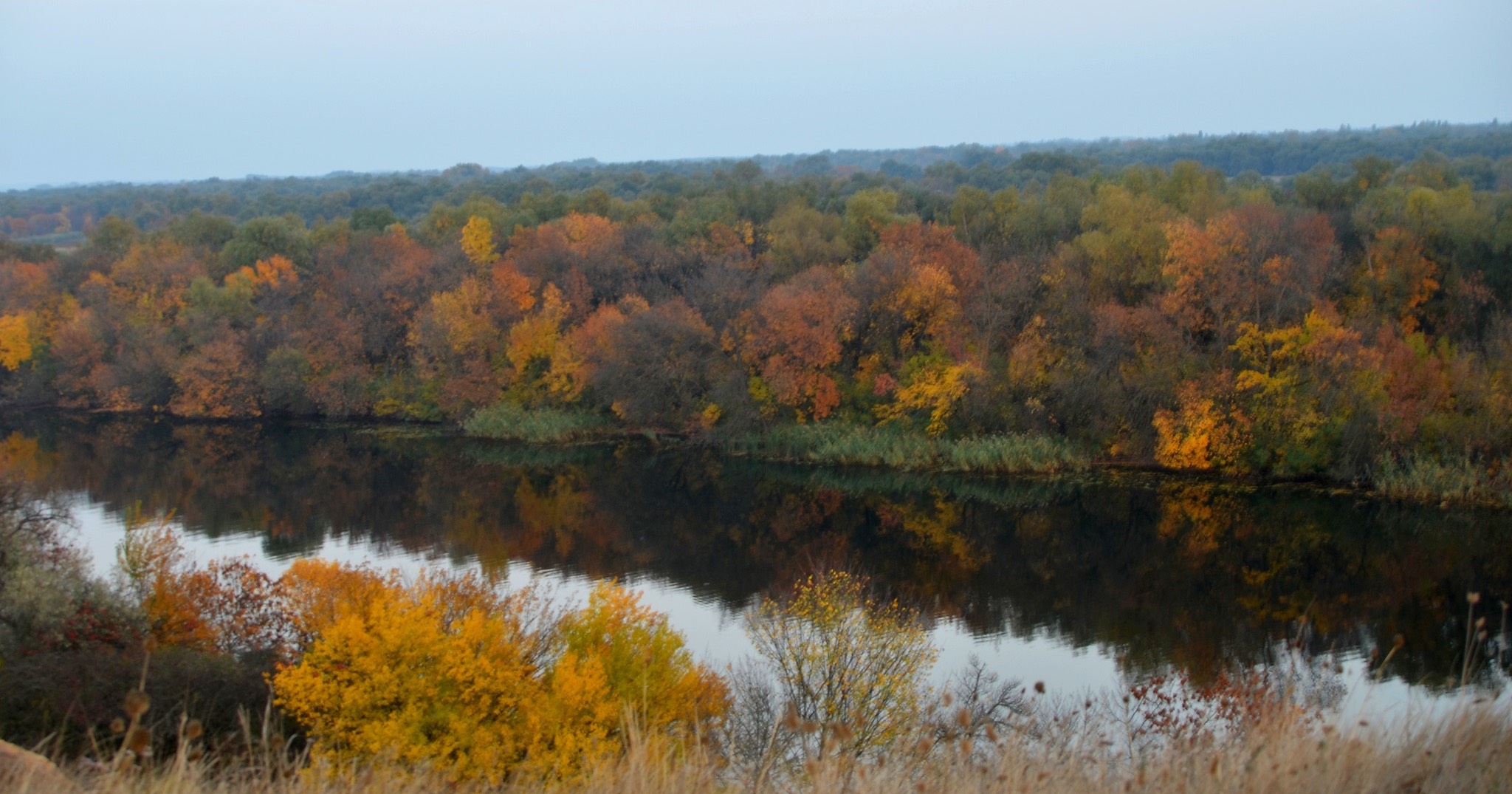 The Inhulets River in the Kherson region / Photo from Facebook by Sergiy Boris Borisenko