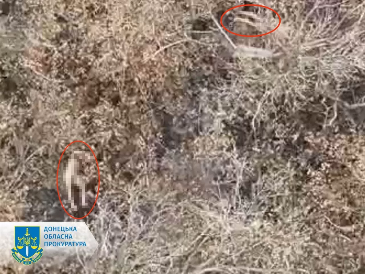 Russians shot Ukrainian prisoners of war / Donetsk regional prosecutor's office