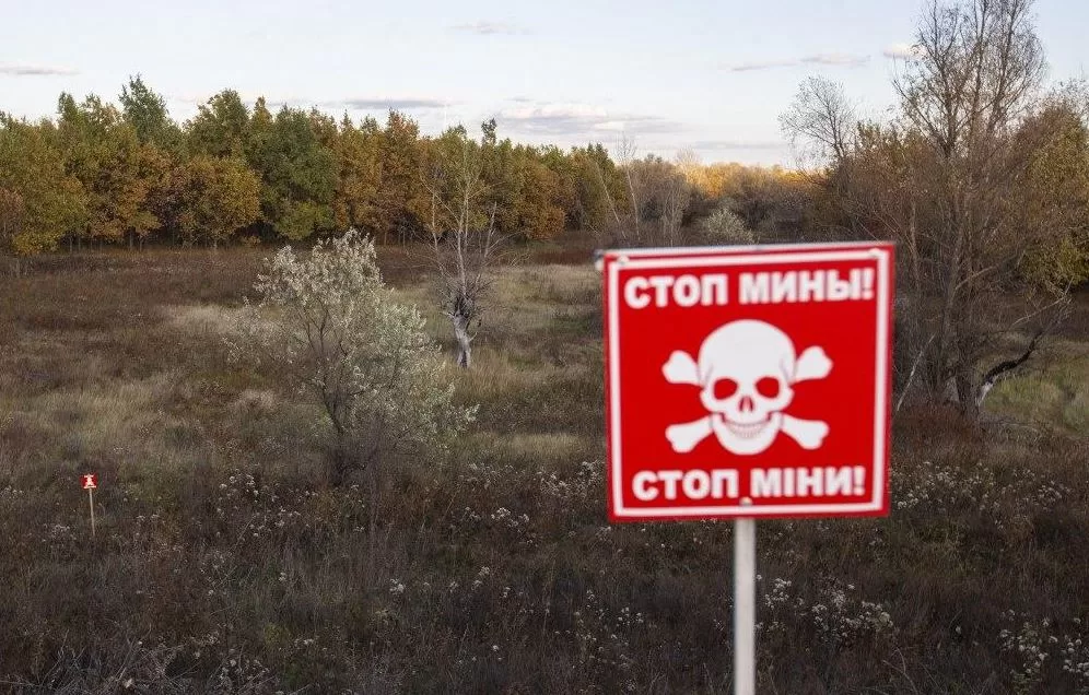 Ілюстративне фото / УНІАН