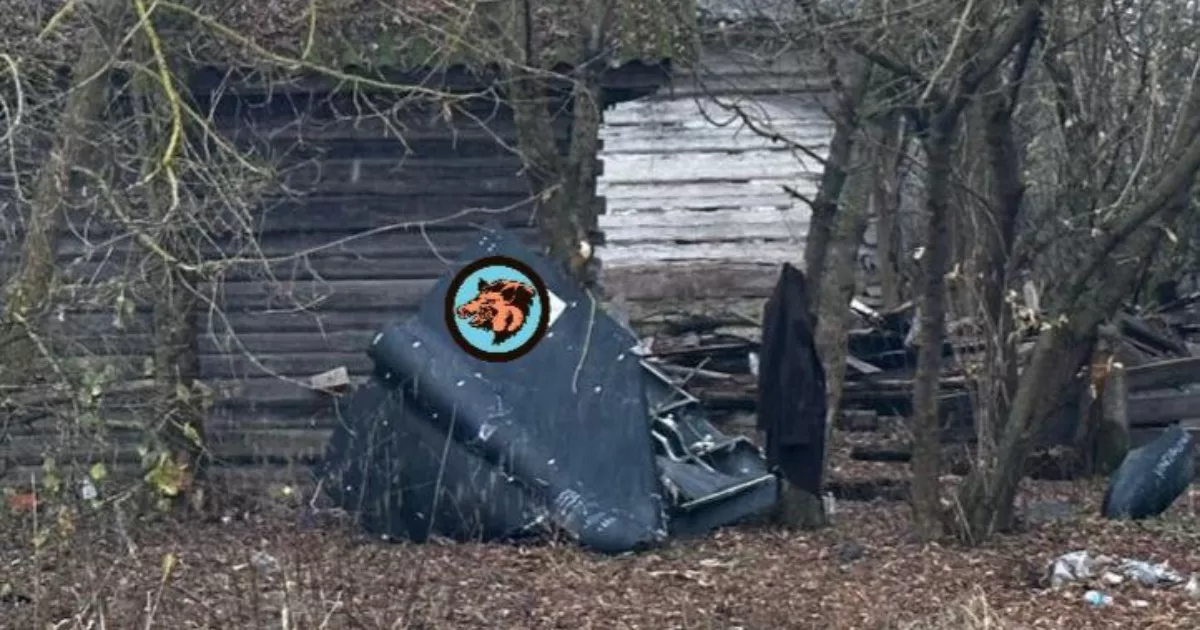 Новгород-Сіверський р-н, Чернігівська обл., російсько-іранський БПЛА-камікадзе. Ілюстративне фото / Фото із соцмереж