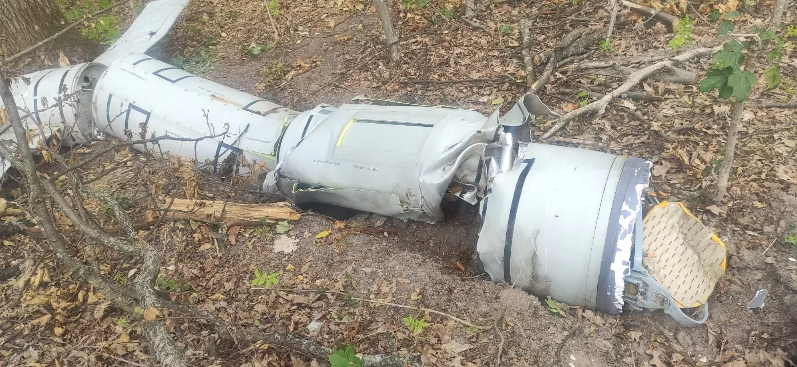 A downed Kalibr cruise missile, 2022 / Photo: Air Force