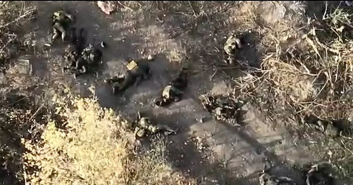 Somewhere in the Pokrovsk direction / Video screenshot