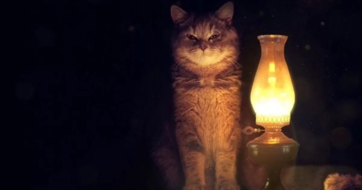 Ілюстративне фото / Фото з відкритих джерел