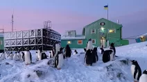 академик вернадский, животные