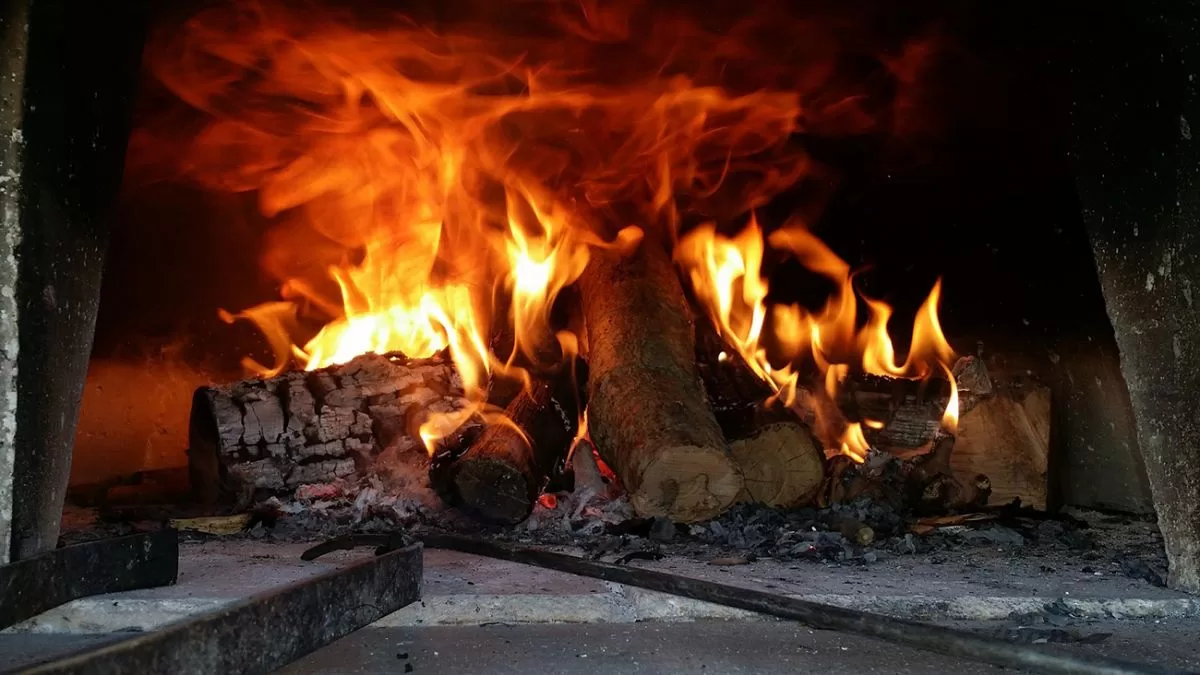 Ілюстративне фото / pixabay