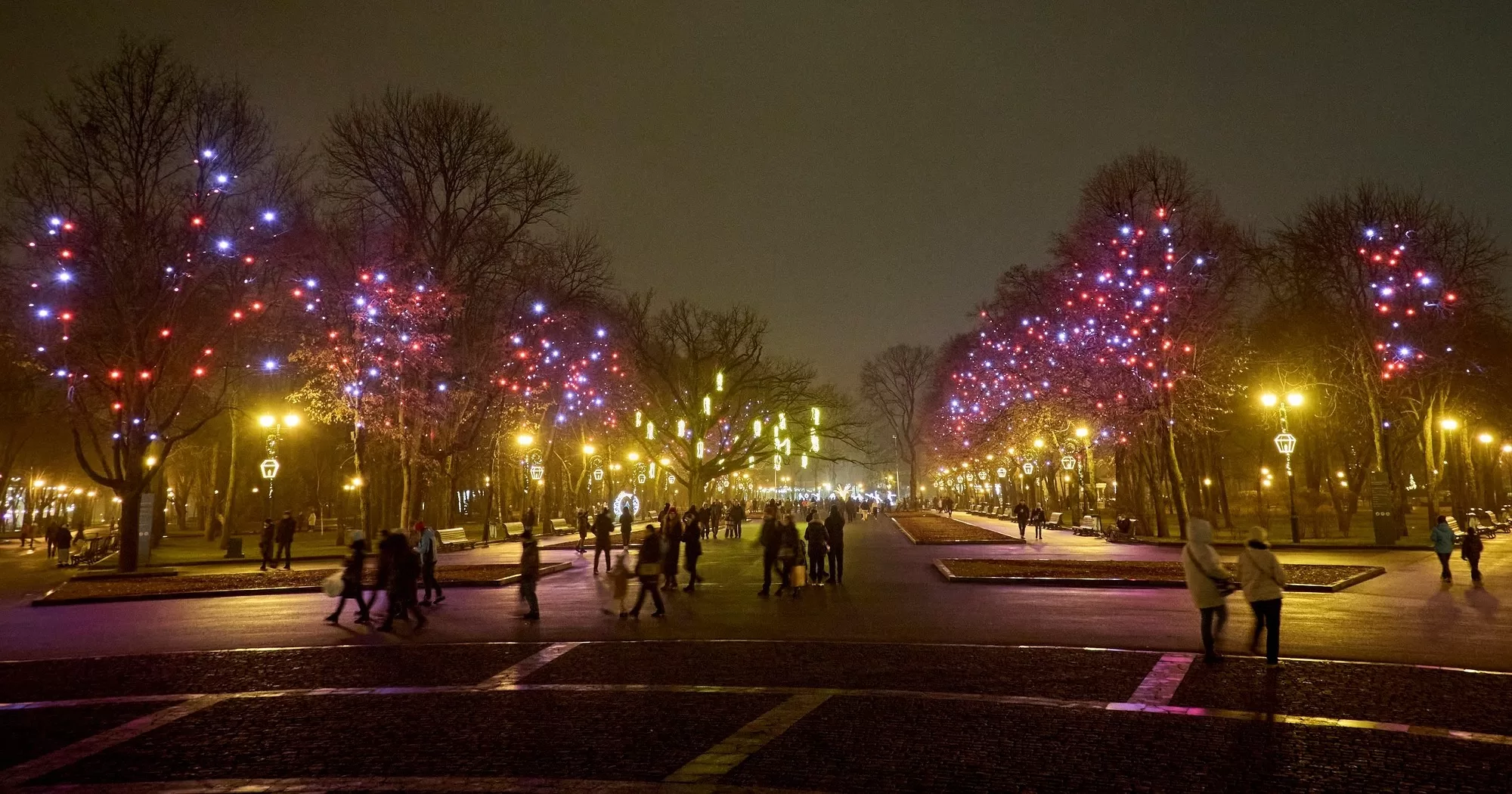 Харьков. Сад Шевченко. Декабрь 2024 / Фото Facebook Сергей Козлов