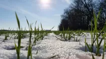 Ілюстративне фото з відкритих джерел