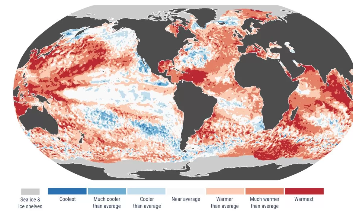 Аномалии приземной температуры воздуха за ноябрь 2024 года / Служба изменений климата Коперника