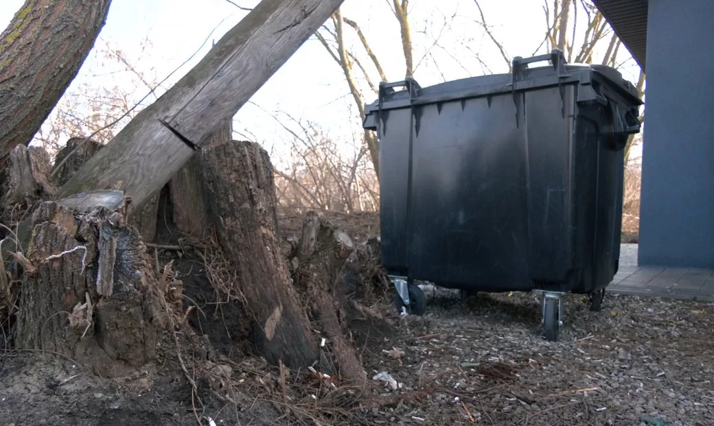 Мусорный бак, в который выбросили младенца / Фото: Суспільне