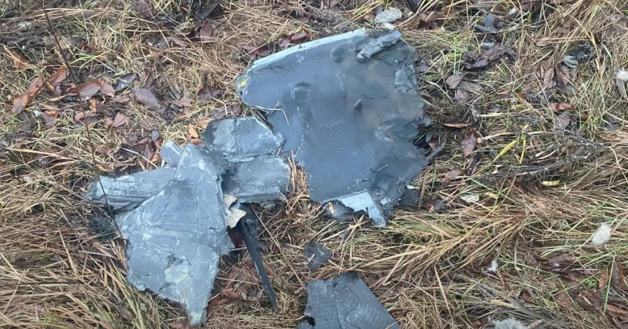 Border guards destroyed an enemy ‘shahed’ in the Sumy region / Photo by the State Border Guard Service