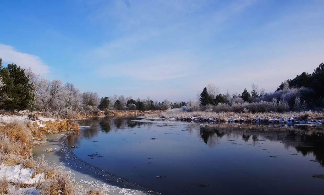 Морозное утро в Чернобыльском заповеднике / Фото: Чернобыльский Радиационно-экологический Биосферный заповедник
