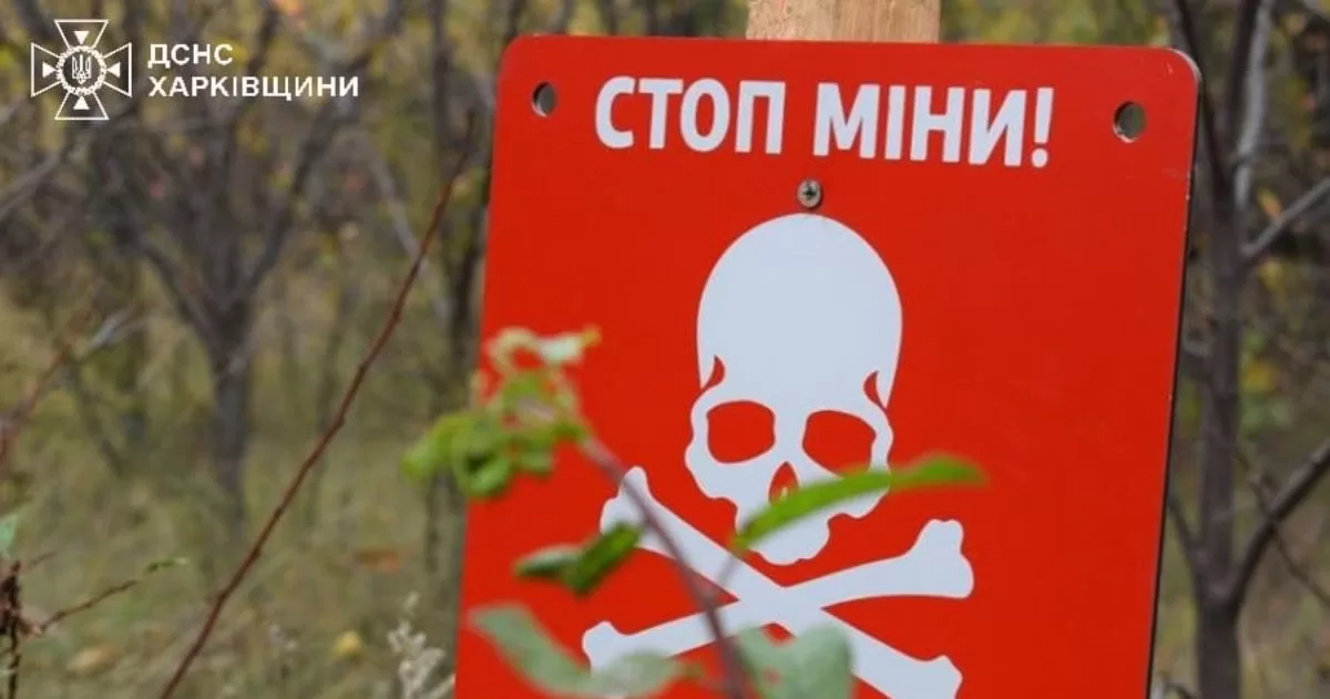 Ілюстративне фото / Фото ДСНС