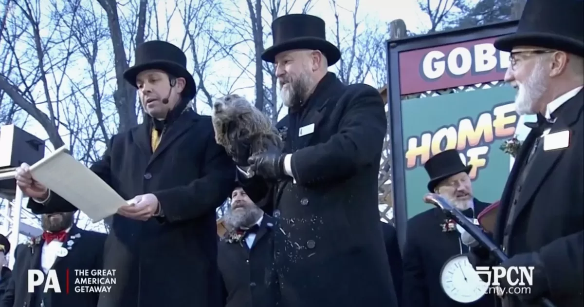 Сурок Фил предсказывает еще шесть недель зимы / Скриншот трансляции