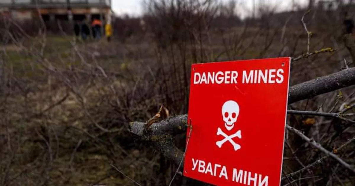 Иллюстративное фото / Фото из открытых источников