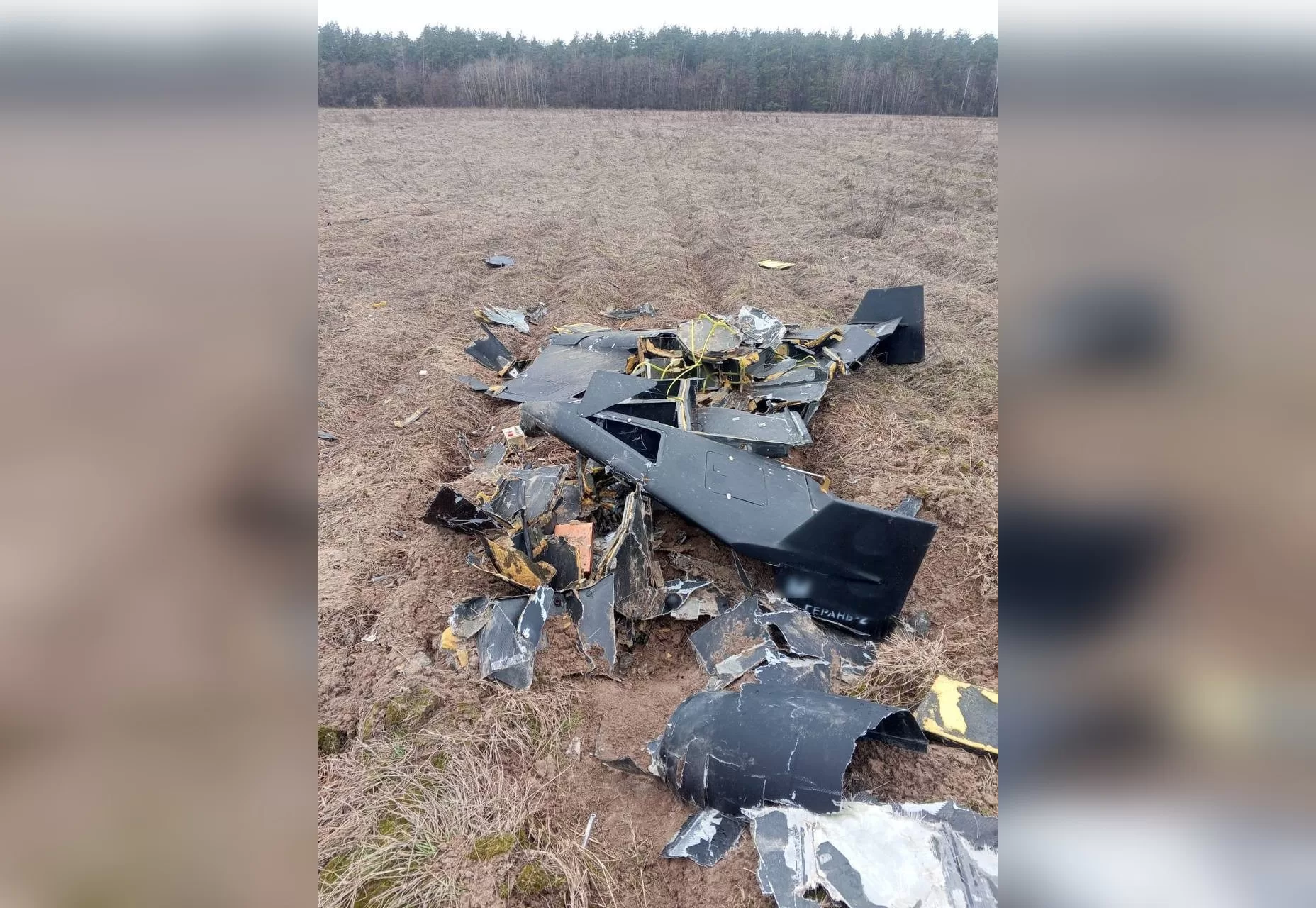 Ночью 6 февраля пограничники сбили пять «шахедов» на трех направлениях / Фото: ГПСУ