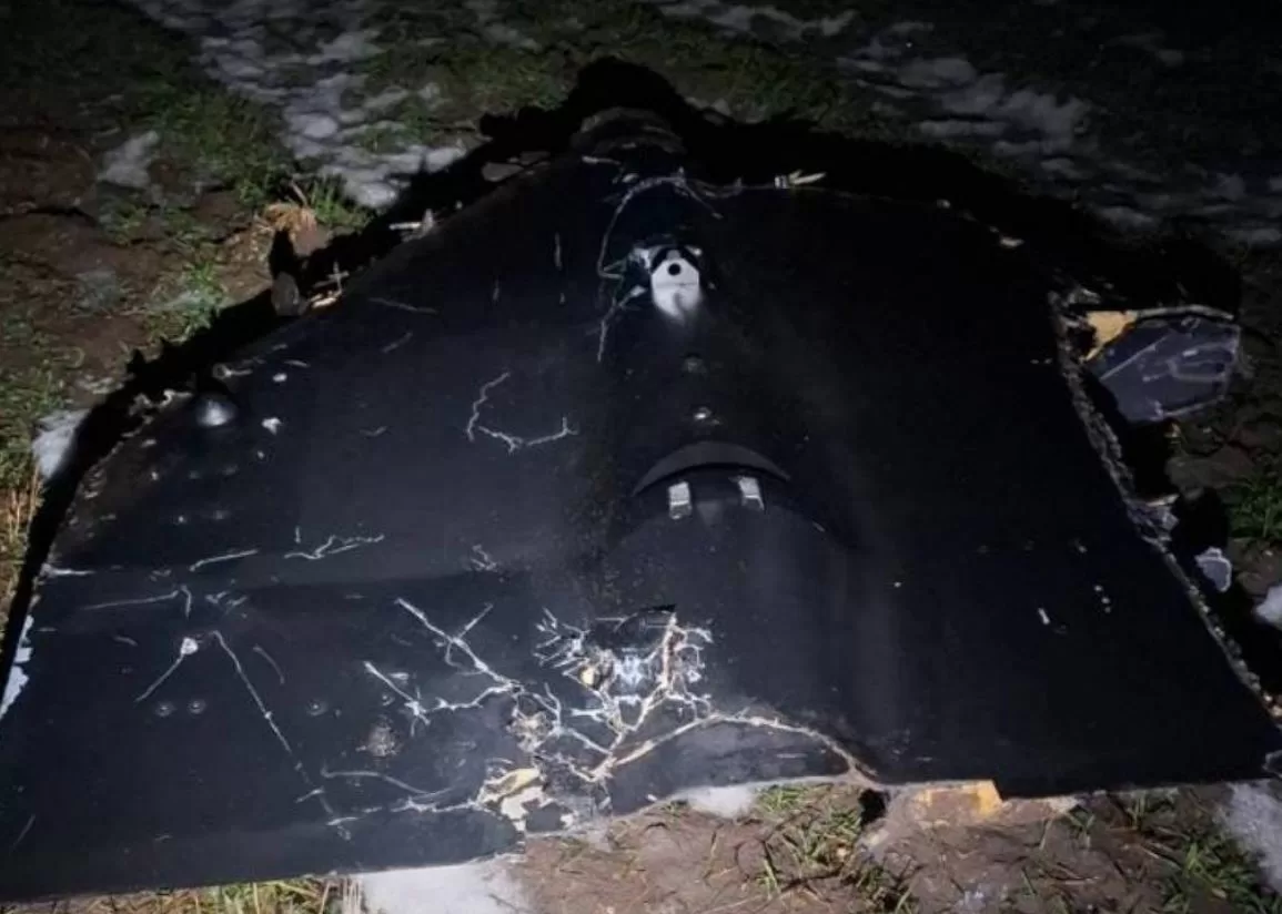 Збитий російський ударний БПЛА / Фото: ДПСУ