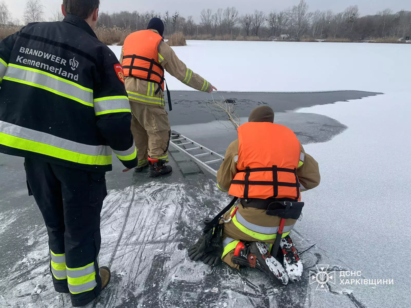В Харькове на озере погиб мужчина / Фото: ГСЧС